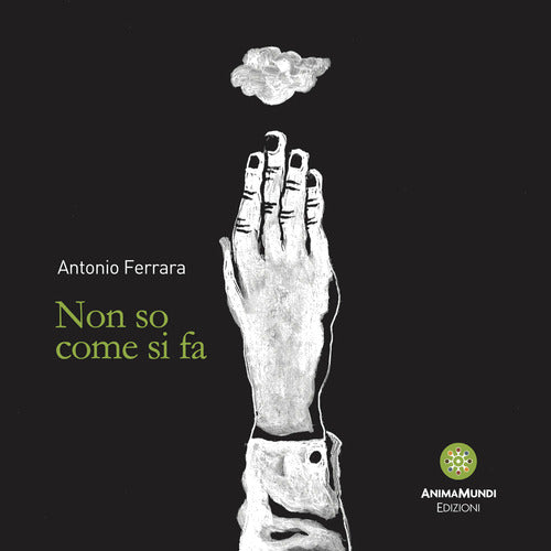 Cover of Non so come si fa