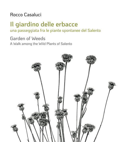 Cover of giardino delle erbacce. Una passeggiata fra le piante spontanee del Salento. Ediz. italiana e inglese