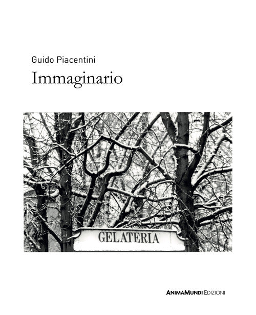Immaginario