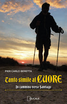 Tanto simile al cuore. In cammino verso Santiago