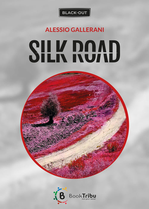 Cover of Silk road