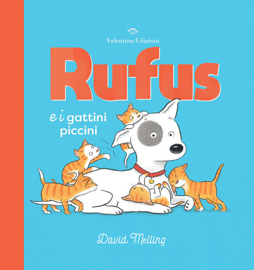 Cover of Rufus e i gattini piccini