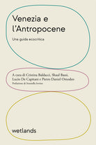 Cover of Venezia e l'Antropocene. Una guida ecocritica