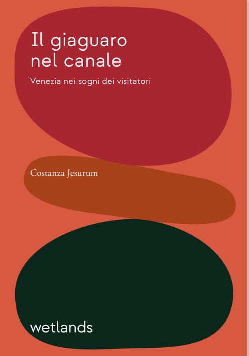 Cover of giaguaro nel canale. Venezia nei sogni dei visitatori