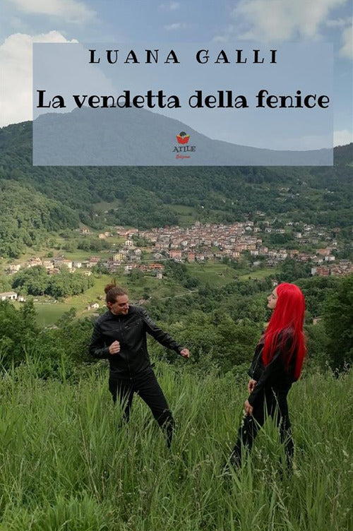 Cover of vendetta della fenice
