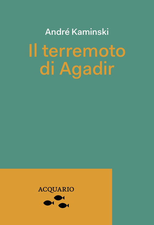 Cover of terremoto di Agadir
