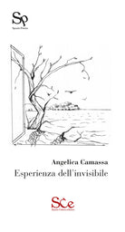 Cover of Esperienza dell'invisibile