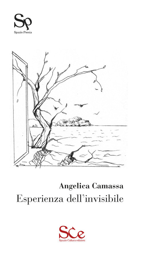 Cover of Esperienza dell'invisibile