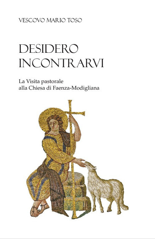 Cover of Desidero incontrarvi. La visita pastorale alla Chiesa di Faenza-Modigliana