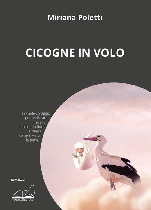 Cover of Cicogne in volo