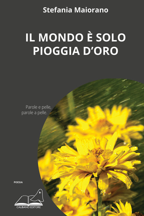 Cover of mondo è solo pioggia d'oro