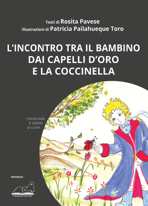 Cover of incontro tra il bambino dai capelli d'oro e la coccinella. L'essenziale è visibile al cuore