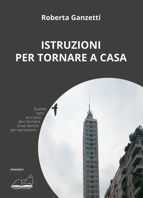 Cover of Istruzioni per tornare a casa