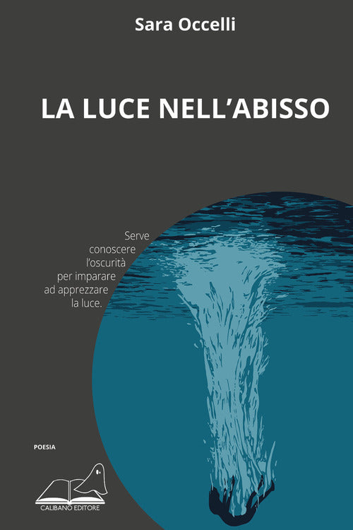 Cover of luce nell’abisso