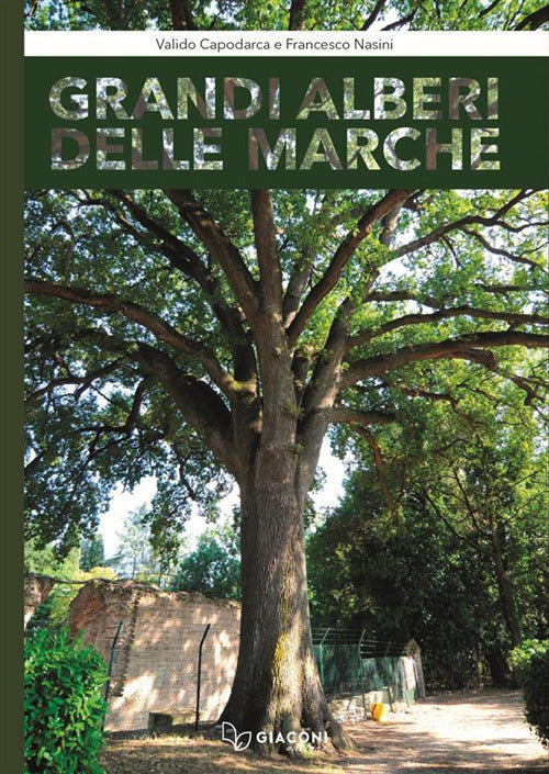 Cover of Grandi alberi delle Marche