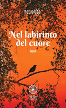 Cover of Nel labirinto del cuore