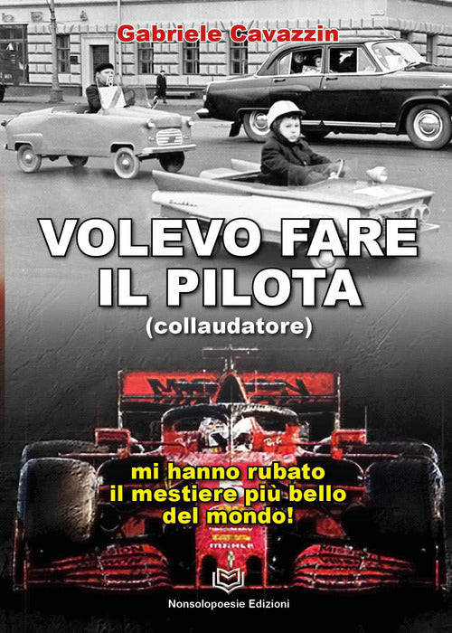 Cover of Volevo fare il pilota. Mi hanno rubato il mestiere più bello del mondo