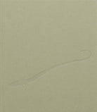 Cover of Chiara Camoni. Serpentesse