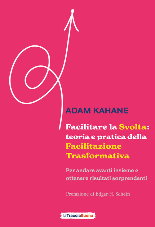 Cover of Facilitare la svolta: teoria e pratica della facilitazione trasformativa. Per andare avanti insieme e ottenere risultati sorprendenti