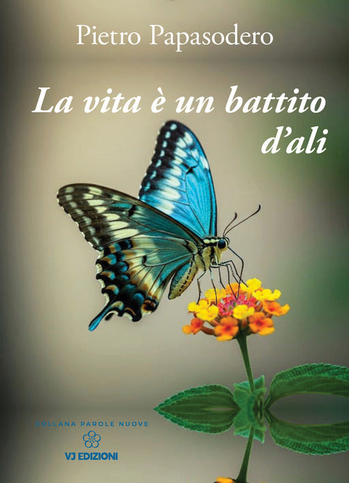 La vita un battito d'ali