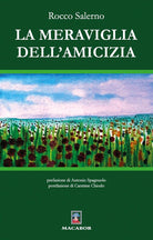 Cover of meraviglia dell’amicizia