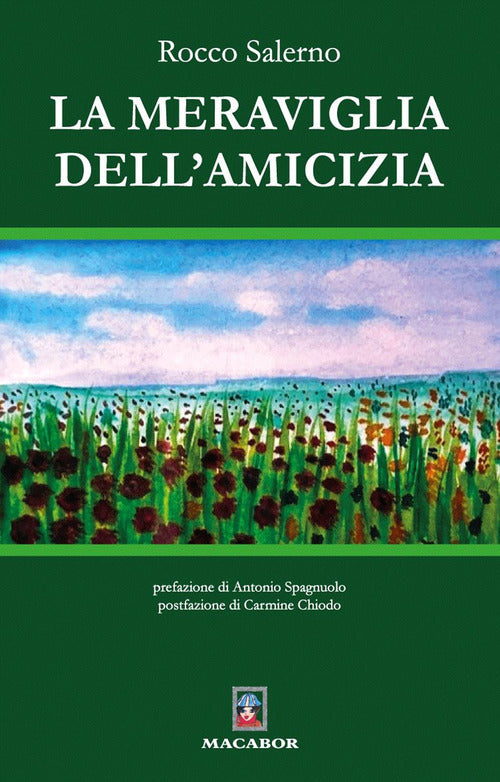 Cover of meraviglia dell’amicizia