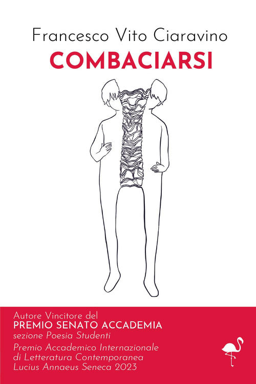 Cover of Combaciarsi