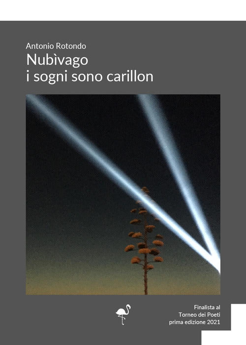 Cover of Nubìvago. I sogni sono carillon