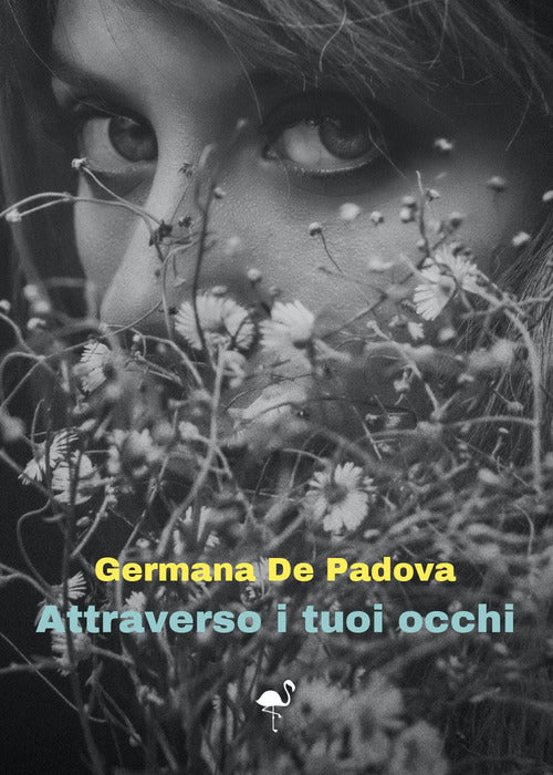 Cover of Attraverso i tuoi occhi