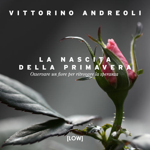 La nascita della primavera. Osservare un fiore per ritrovare la speranza