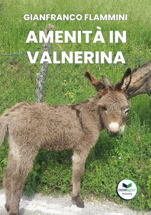 Cover of Amenità in Valnerina. Il miglior digestivo risiede in una risata