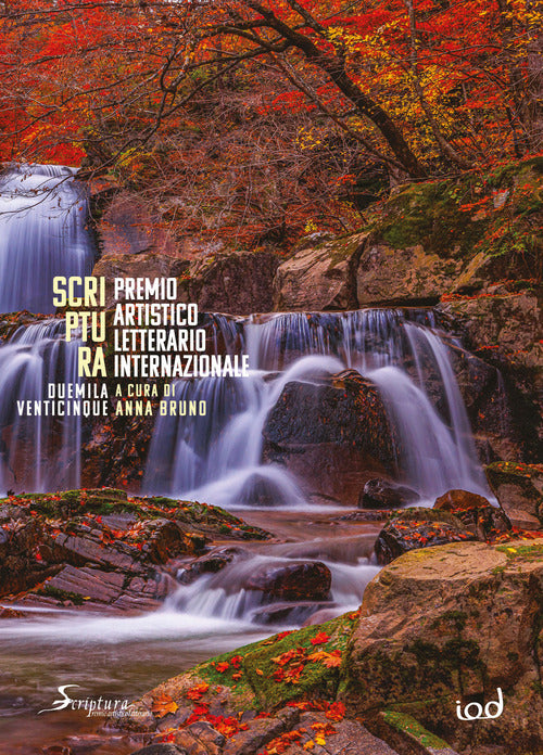Scriptura. Premio artistico letterario internazionale 2025
