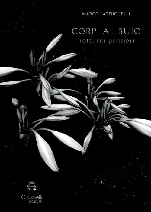 Corpi al buio. Notturni pensieri