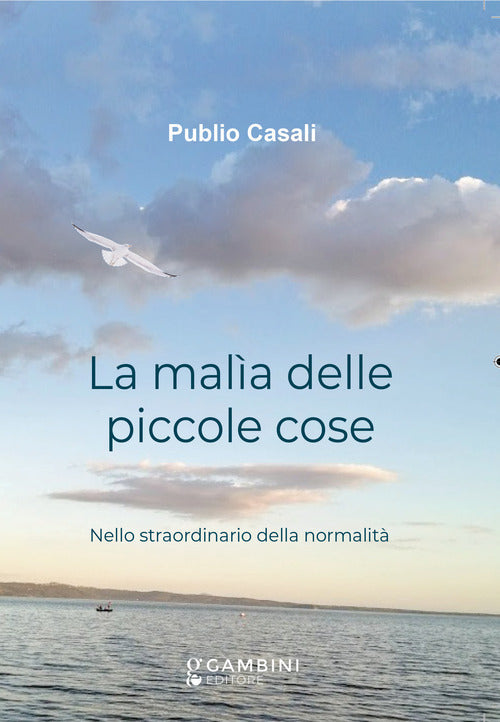 La mala delle piccole cose. Nello straordinario della normalit