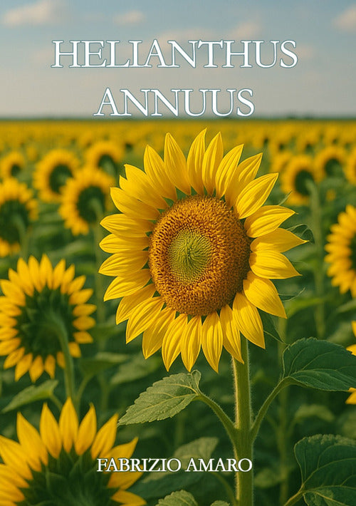 Helianthus Annuus