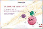 La Spirale della Vita. La poetica storia della sequenza di Fibonacci. Schede per Kamishibai