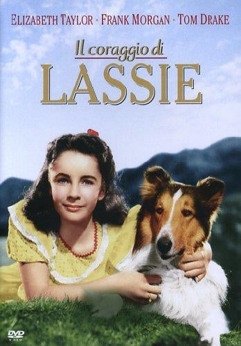 Lassie - Il Coraggio Di Lassie