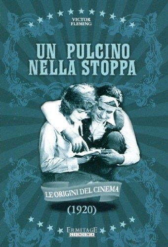 Pulcino Nella Stoppa (Un)