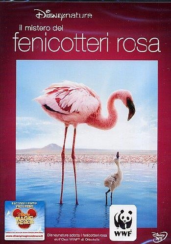 Mistero Dei Fenicotteri Rosa (Il)