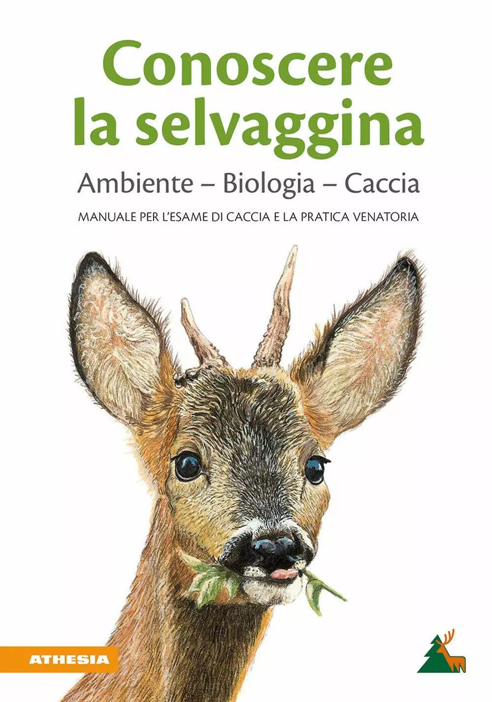 Conoscere la selvaggina