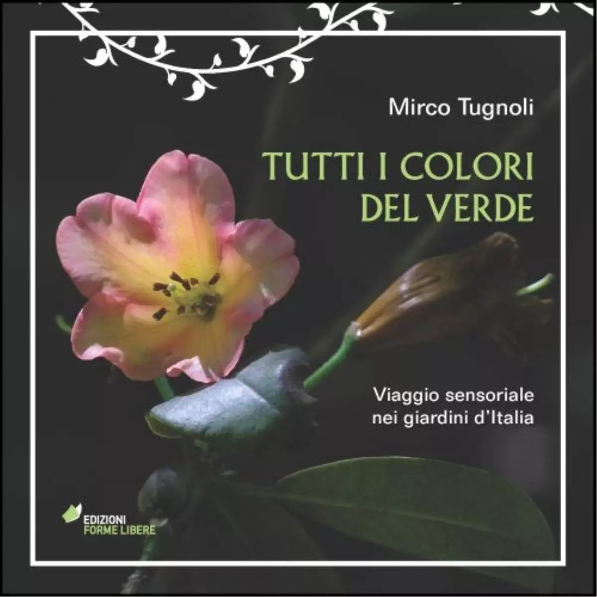 Tutti i colori del verde di Mirco Tugnoli