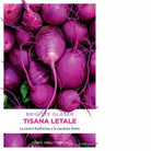 TISANA LETALE LA CUOCA KATHARINA E LA VACANZA DETOX di Glaser Brigitte