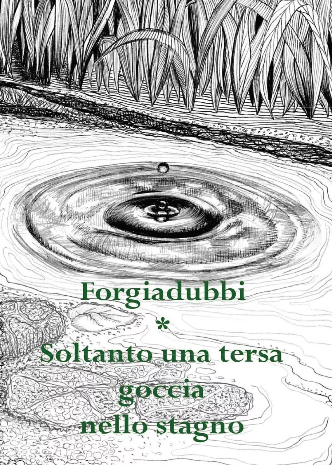 Soltanto una tersa goccia nello stagno di Forgiadubbi, 2016, Youcanprint