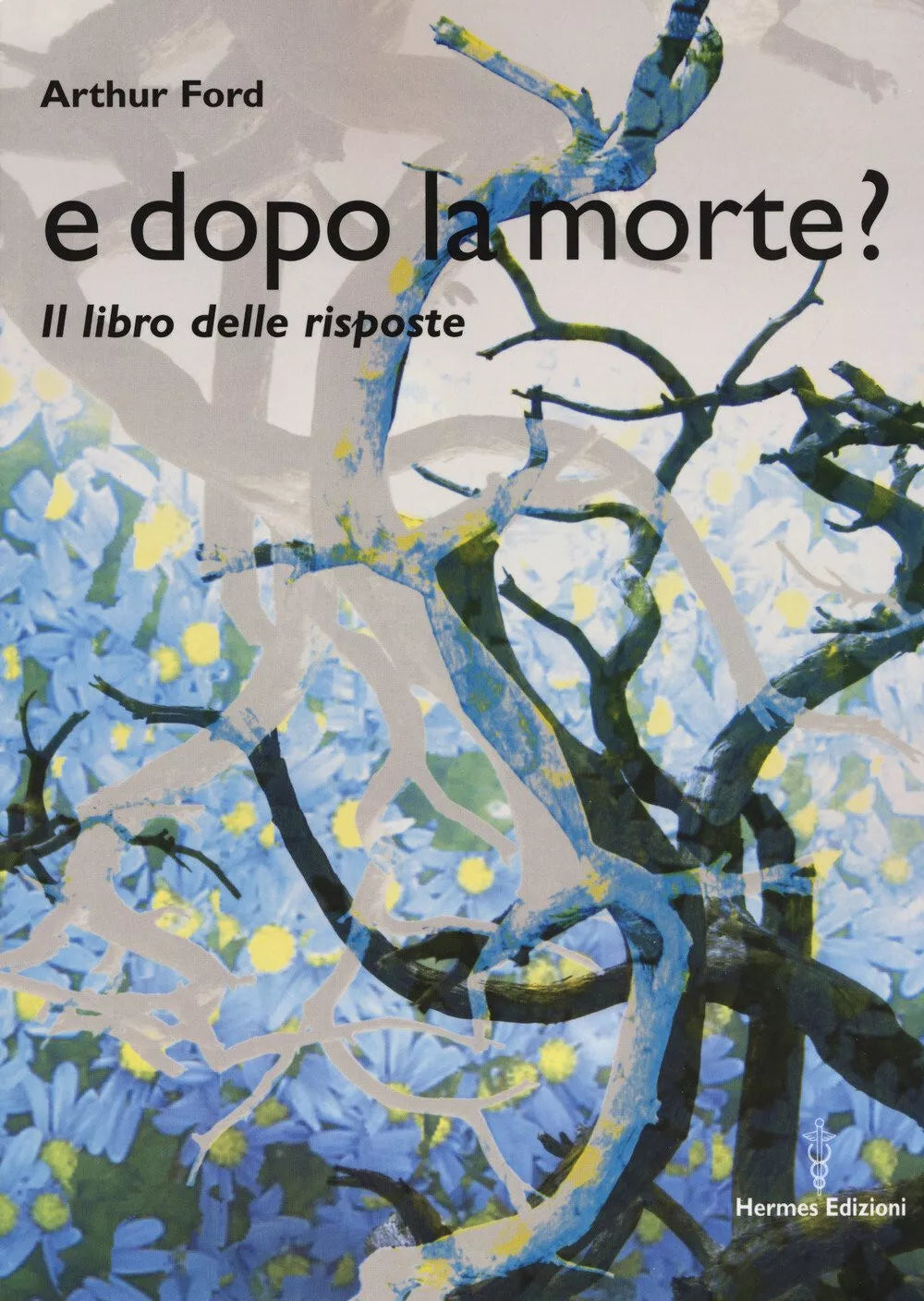 E dopo la morte Il libro delle risposte