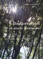 Bagliori estivi di un giorno qualunque di Giulio Andreetta, 2020, Youcanprint