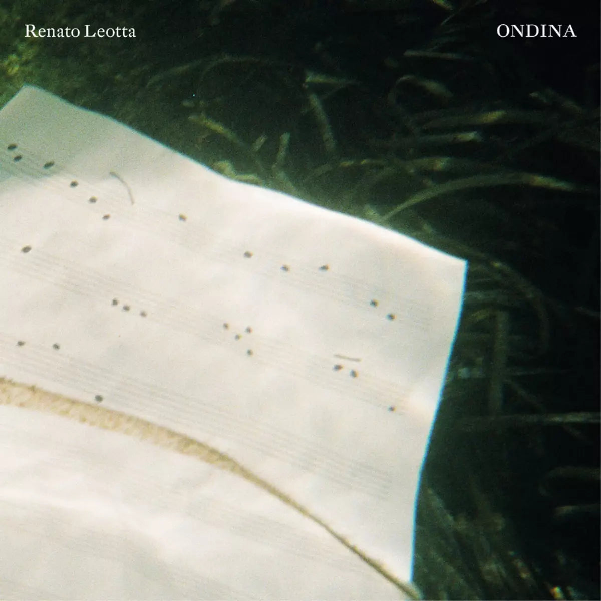 Ondina Ediz italiana e inglese di Renato Leotta