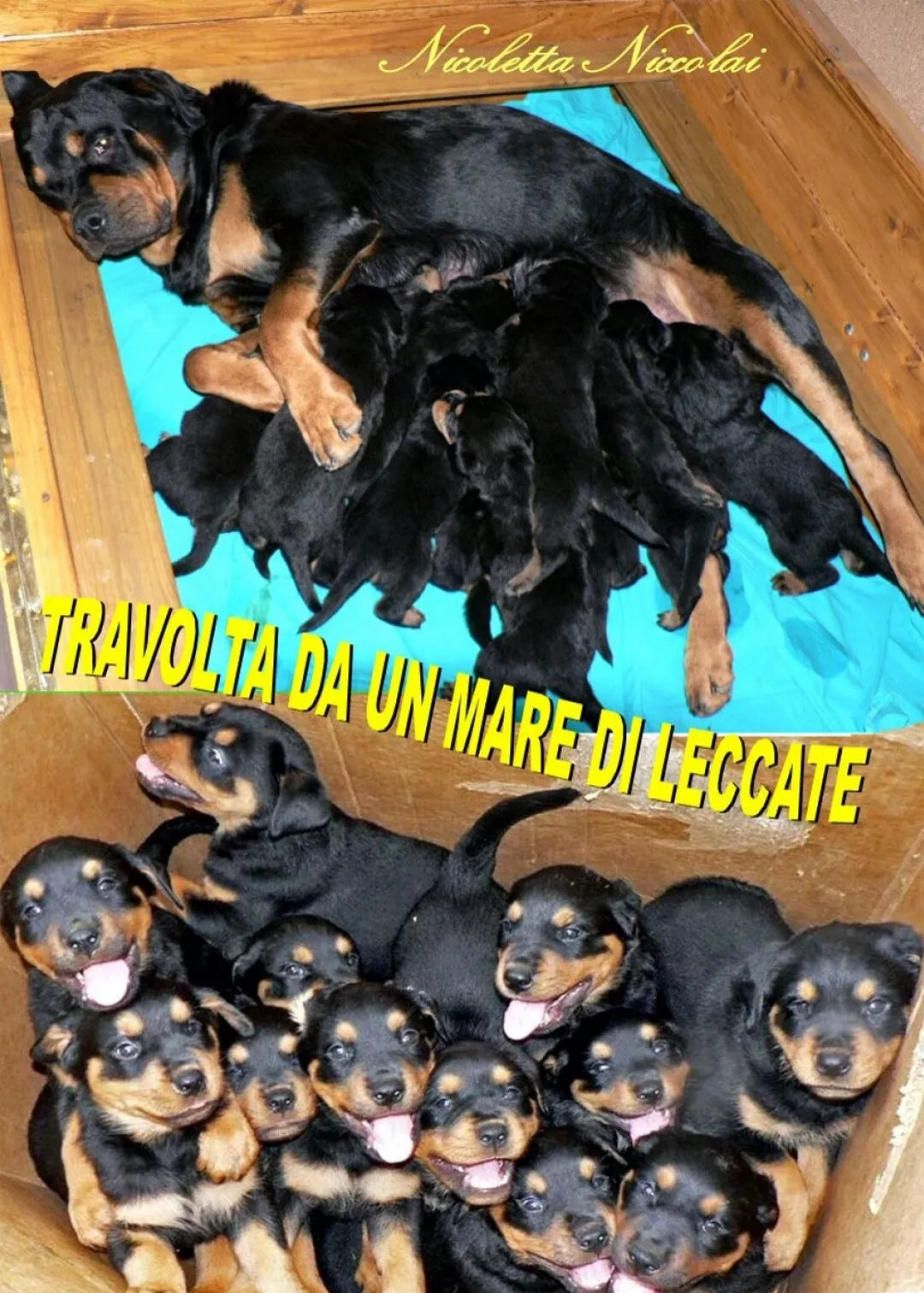 Travolta da un mare di leccate di Nicoletta Niccolai, 2021, Youcanprint