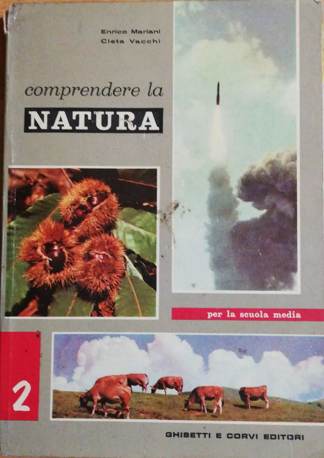 Comprendere la natura di Enrico Mariani, Cleta Vacchi, 1966 -D