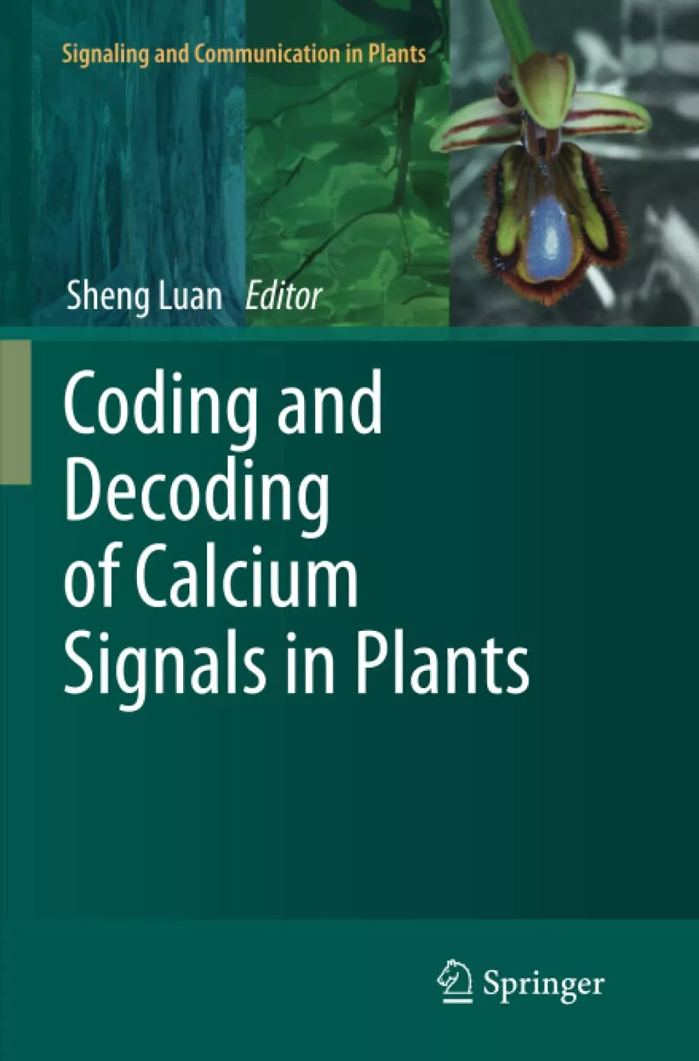 Coding and Decoding of Calcium Signals in Plants