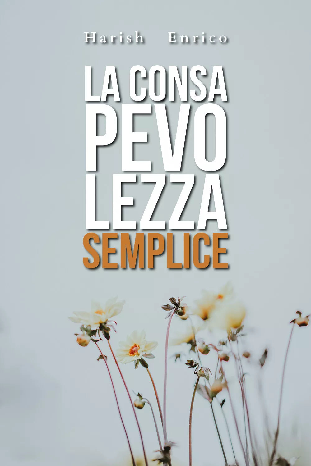 La consapevolezza semplice di Enrico Harish, 2020, Youcanprint